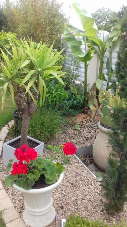 Chambres D'Hotes La Rose Des Sables Les Herbiers Bagian luar foto